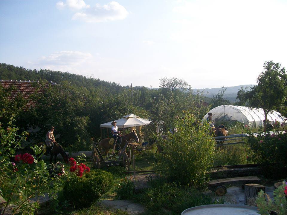 Staroto Shkolo House - Rooms For Guests Subotkovtsi Εξωτερικό φωτογραφία