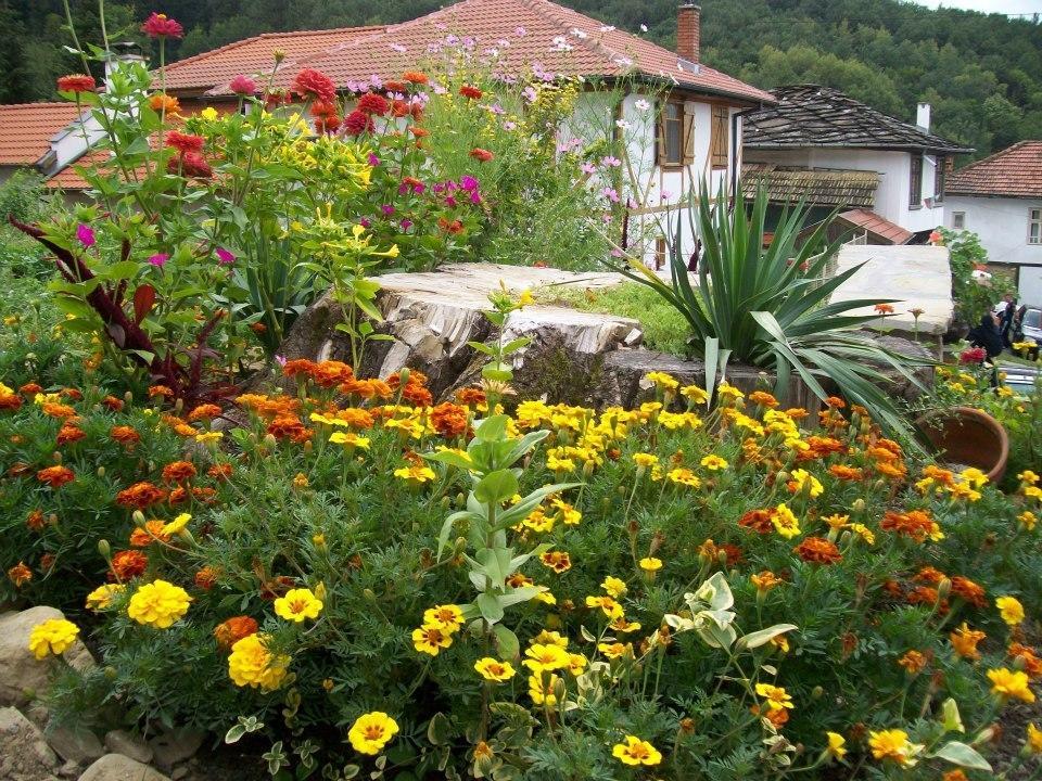 Staroto Shkolo House - Rooms For Guests Subotkovtsi Εξωτερικό φωτογραφία
